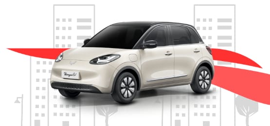 Wuling Binguo