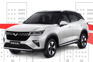 Wuling Alvez